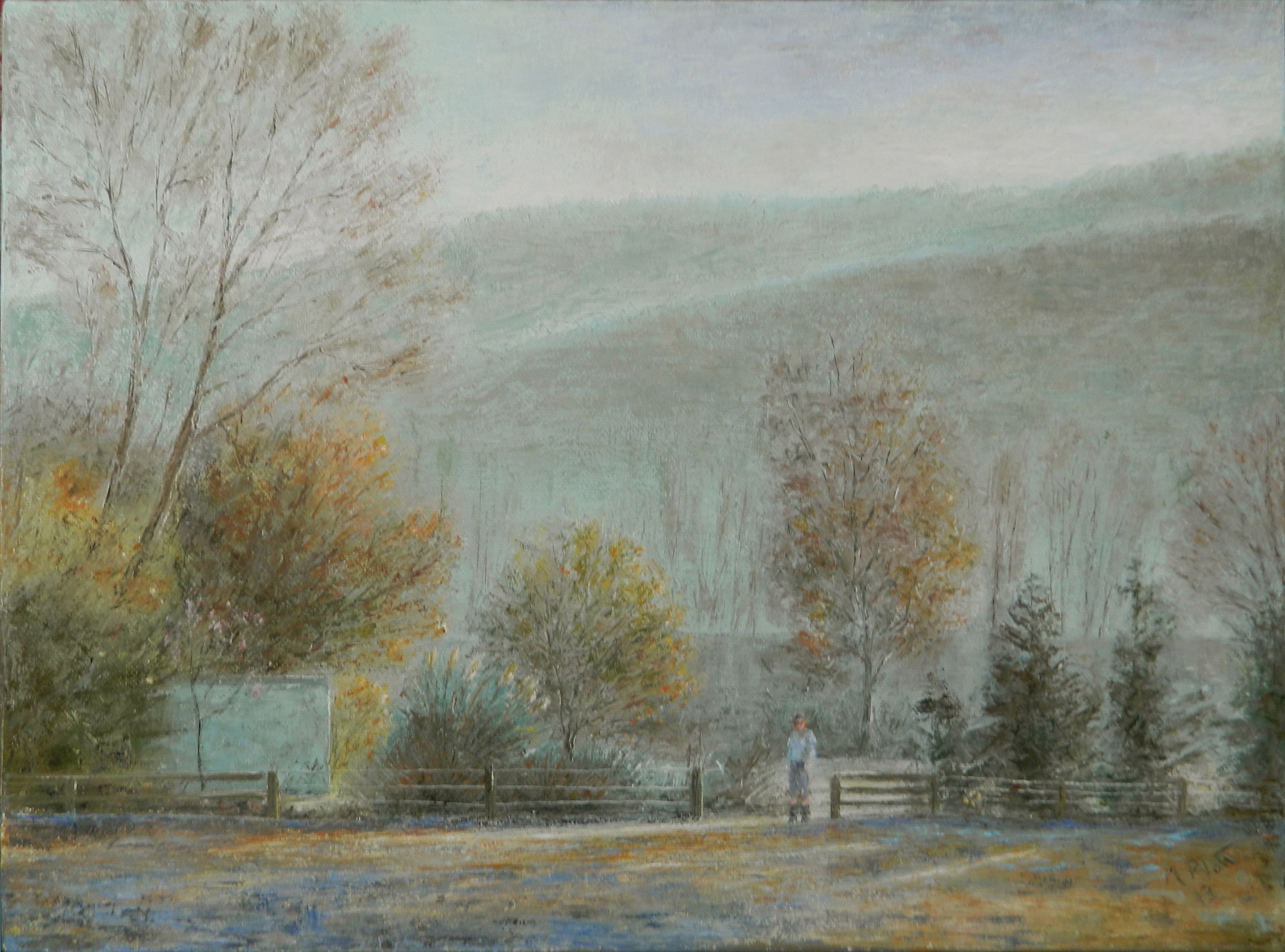 New Day on the Taieri