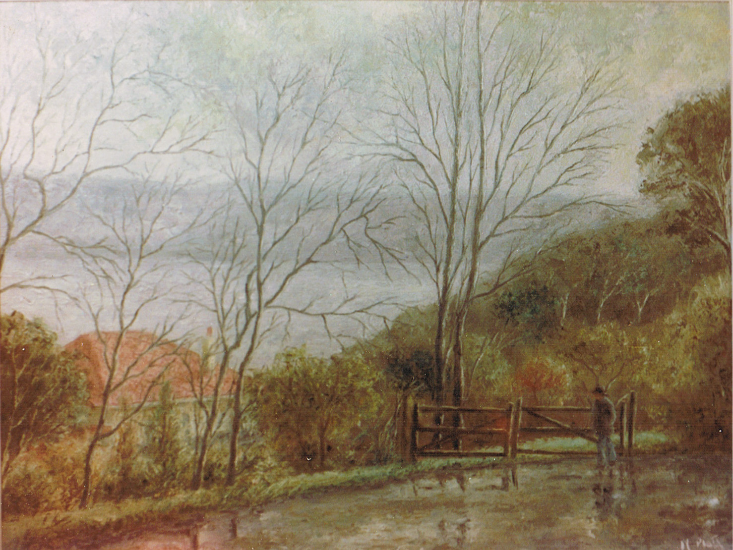 Road to Doctors Point